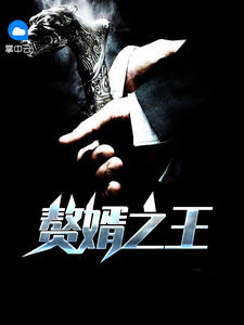 无双赘婿沈默