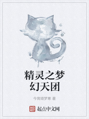 精灵之梦幻天团