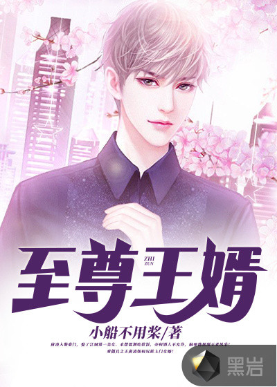 至尊王婿