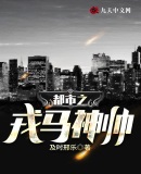 都市之戎马神帅
