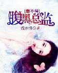 腹黑总监惹不得