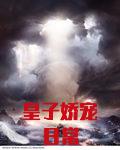 皇子娇宠日常