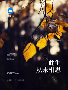 此生从未相思