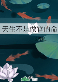 天生不是做官的命
