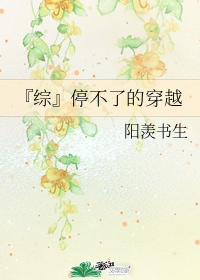 『综』停不了的穿越