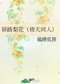 驿路梨花（倚天同人）