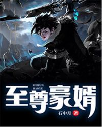 至尊豪婿