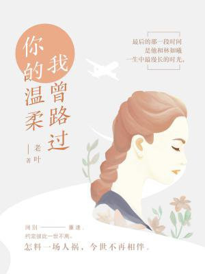 我曾路过你的温柔