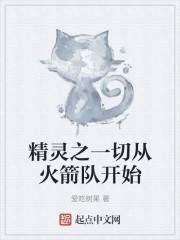 精灵之一切从火箭队开始