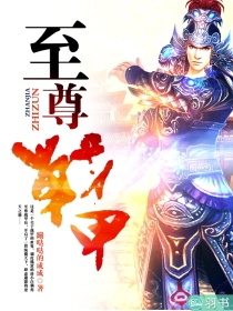至尊战甲
