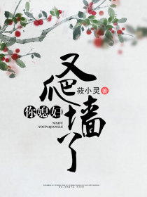 你媳妇又爬墙了