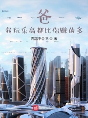 爸，我玩乐高都比你赚的多
