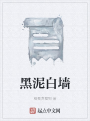 黑泥白墙