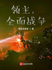 领主：全面战争
