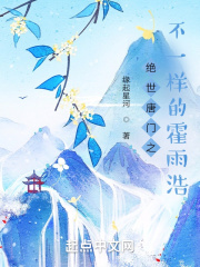 绝世唐门之不一样的霍雨浩