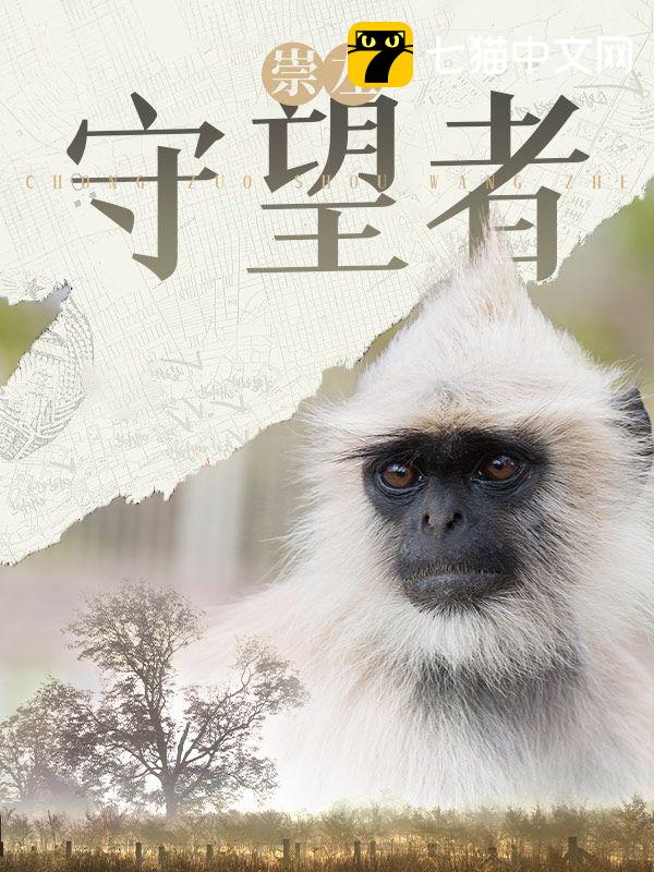 崇左守望者