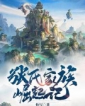 张氏家族崛起记
