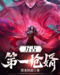 万古第一枪婿