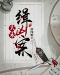大宋缉凶案