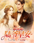 闪婚甜宠：陆爷，早安！