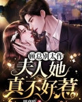 顾总别太作，夫人她真不好惹
