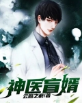 神医盲婿