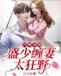 闪婚成瘾：盛少缠妻太狂野