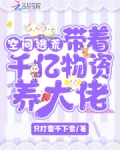 带着空间千亿物资养大佬