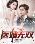 医婿无双.