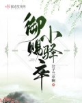 御赐小驿卒