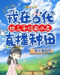 我在古代给三千位面水友直播种田