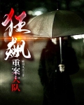 狂飙：重案大队