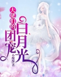 大佬们的团宠白月光