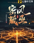 风巫密藏