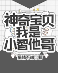 神奇宝贝：我是小智他哥