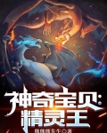 神奇宝贝：精灵王