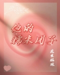 他的糯米团子