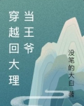 穿越回大理当王爷