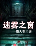 迷雾之窗