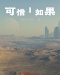 可惜l如果