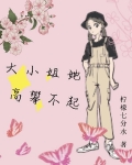 大小姐她高攀不起