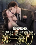 我闪婚了老公竟是南城第一豪门