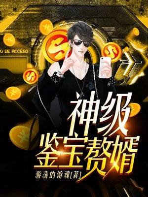 神级鉴宝赘婿