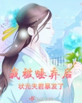 我被唾弃后，状元夫君暴发了