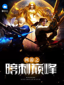 网游之暗刺巅峰