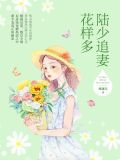 小说陆少追妻花样多