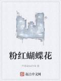 粉红蝴蝶花图片