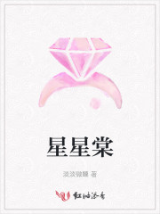 星星向棠小说