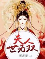 夫人世无双小说