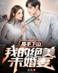 高手下山韩风的九个未婚妻